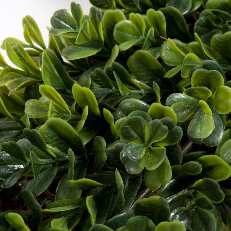 Square Boxwood Wreath 16.5" x 16.5" - Pure Garden