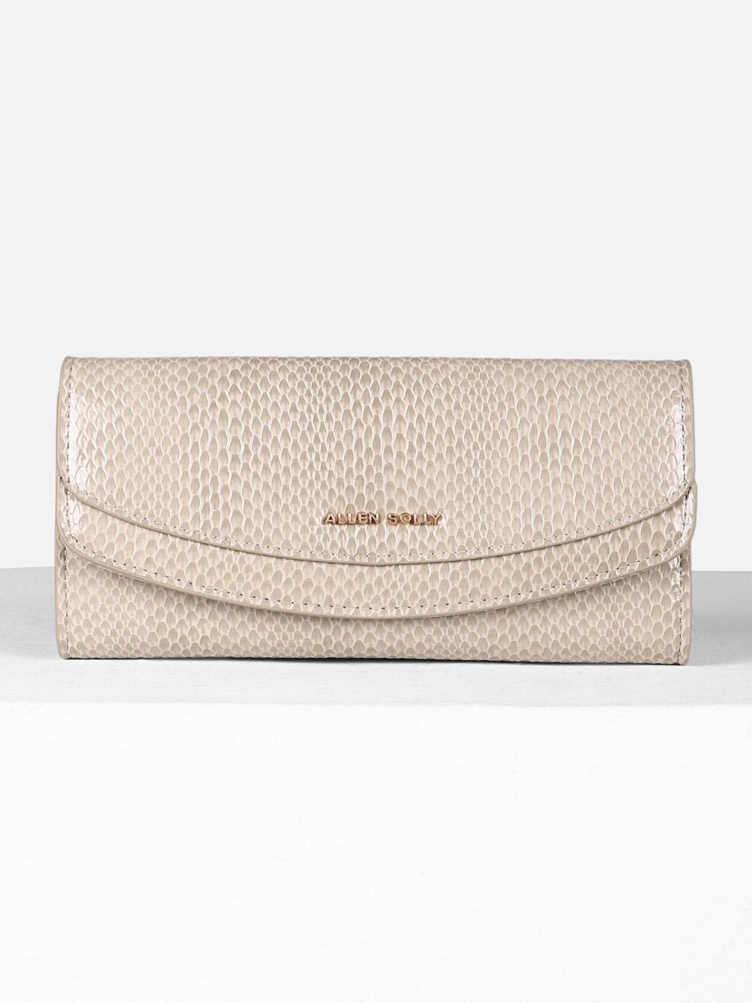 Allen Solly Beige Textured Wallet for women