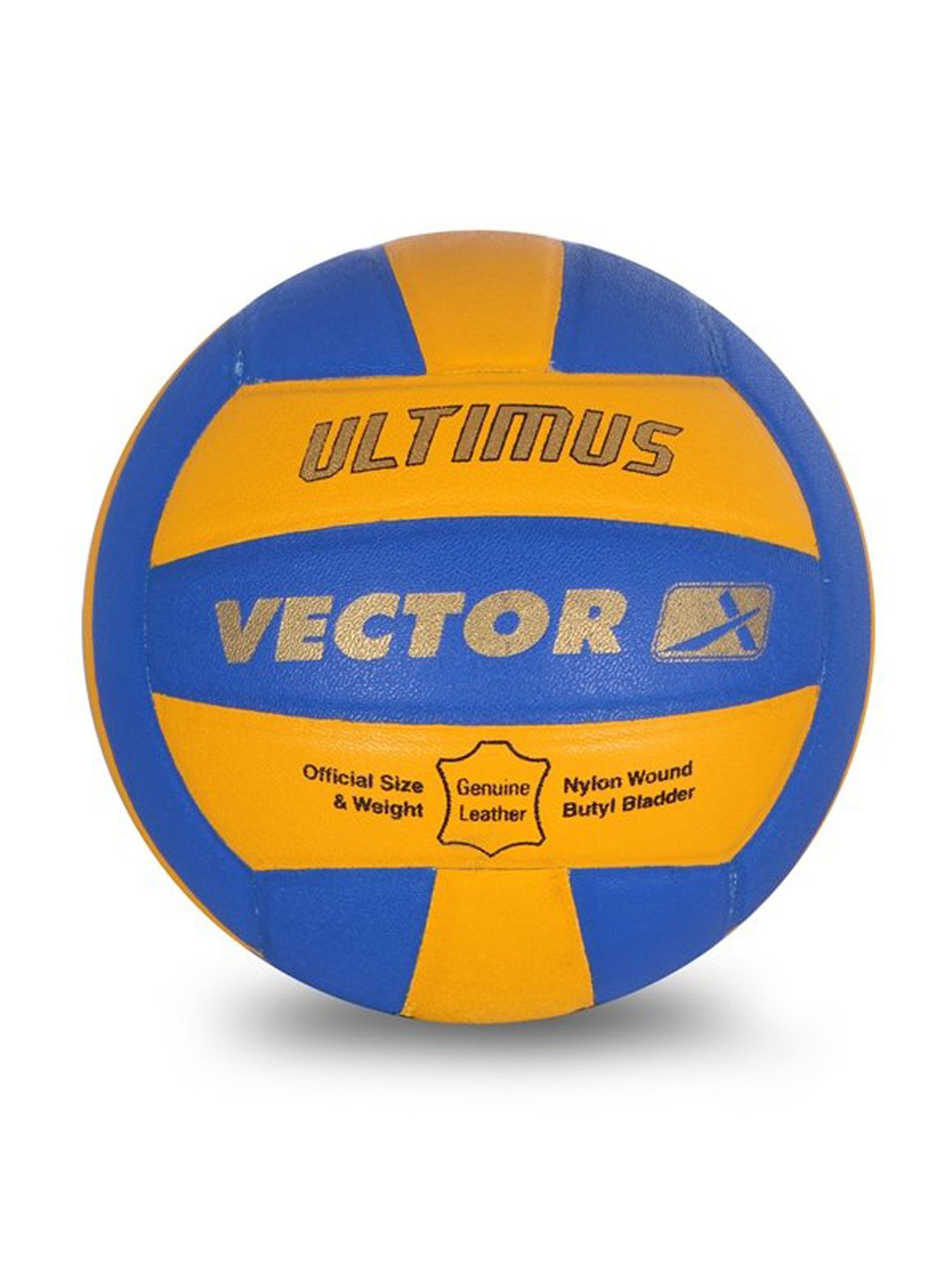 Vector X Yellow & Blue Volleyball - Size 4