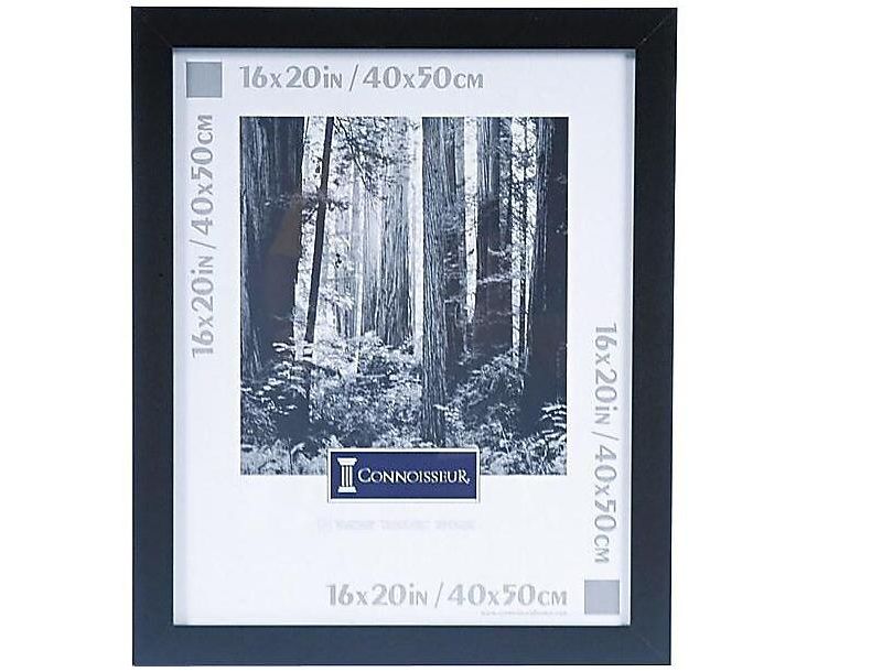 Dax Black Solid Wood Poster Frames w/Plastic Window Wide Profile 16 x 20 2863V2X