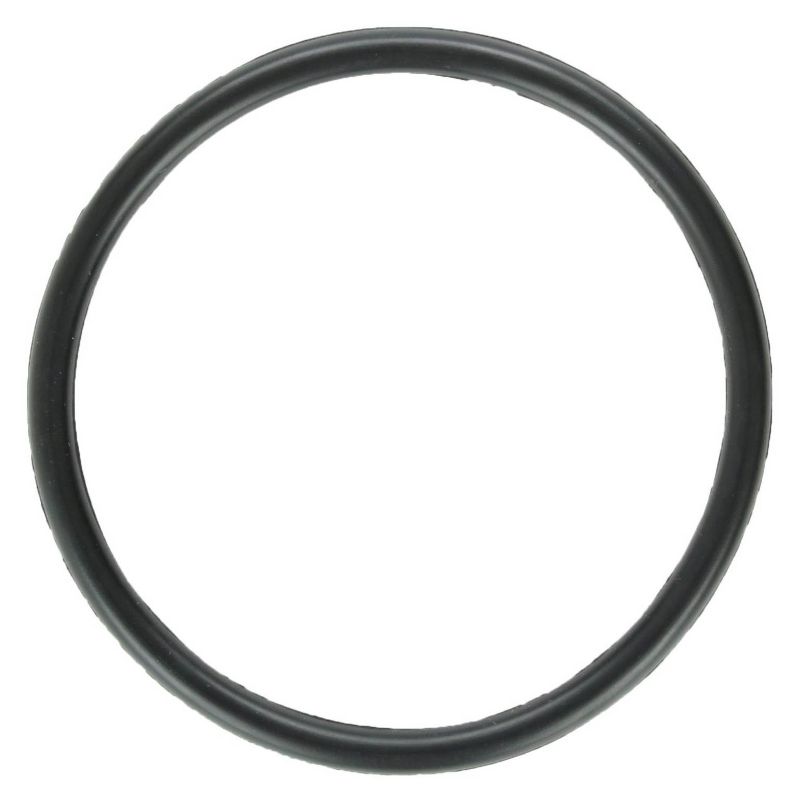 Zodiac Blank Cap Replacement for C Series Water Sanitizers, White | W193821