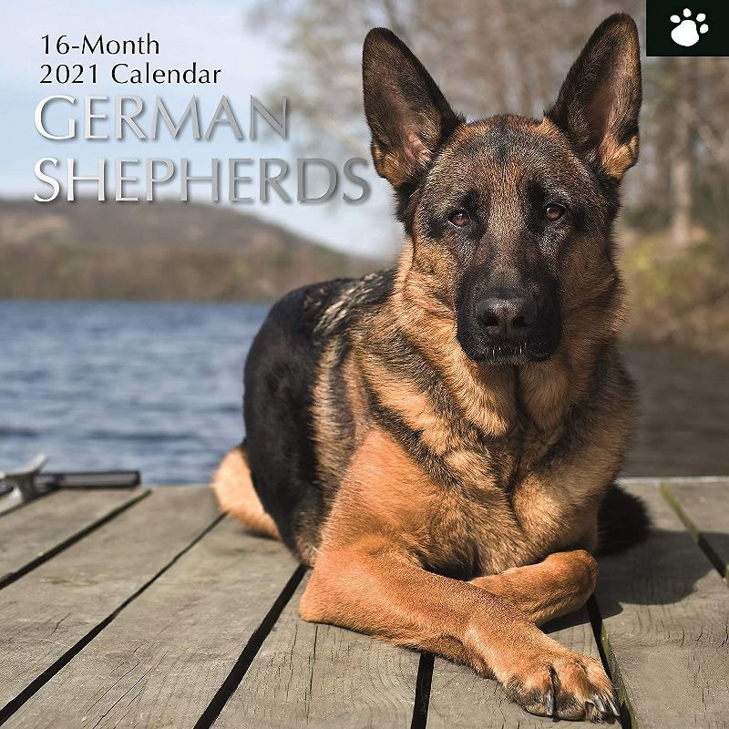 Sellers Publishing, 2021 Outlander 16-Month Wall Calendar