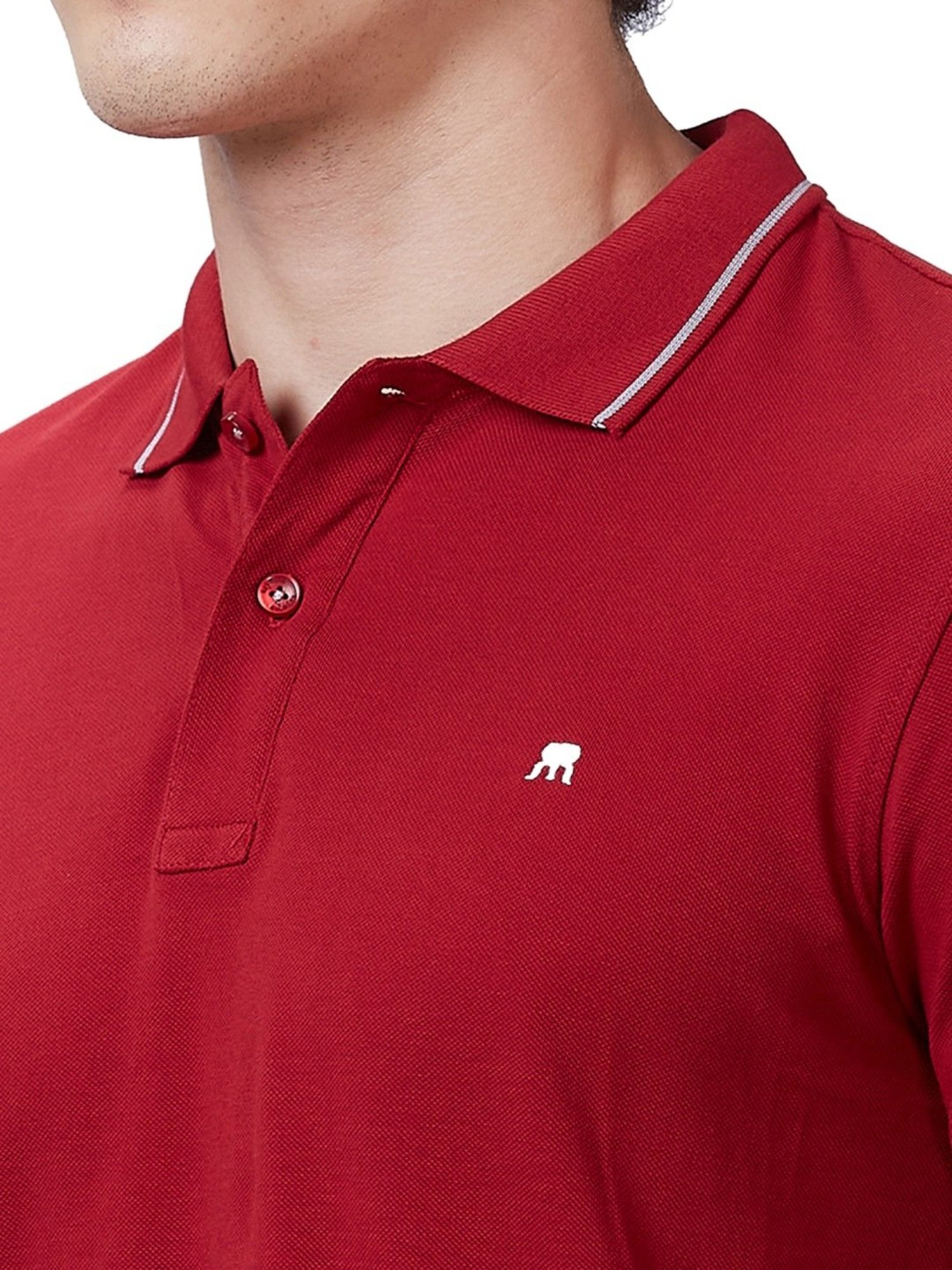 Raymond Maroon Cotton Contemporary Fit Polo T-Shirt