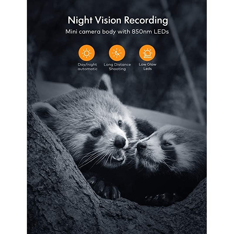 Mini Trail Camera 16MP 1080P with 16GB Micro SD Card Waterproof Night Vision Game Camera for Wildlife Detecting, Home Security