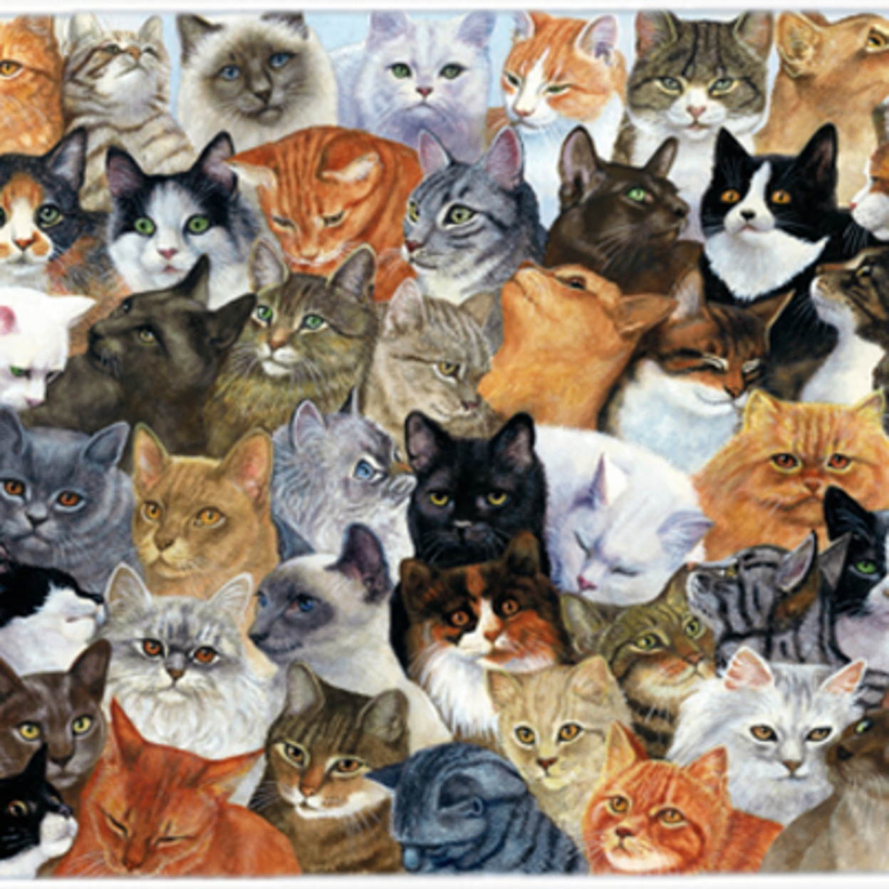 Cats Galore Mouse Pad, Hot Pad or Trivet BDBA0414MP