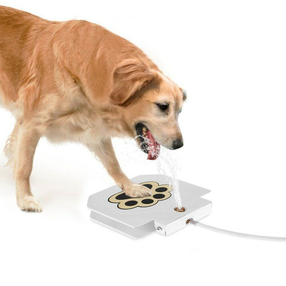 Durability Outdoor Dog Pet Waterer Drinking Doggie Cat Water Fountain Tool