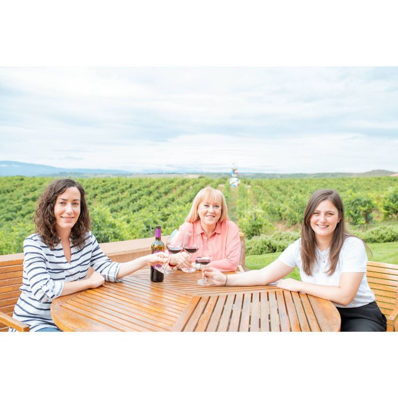 Campo Viejo Brut-Rosé Cava Sparkling Wine - 750ml Bottle