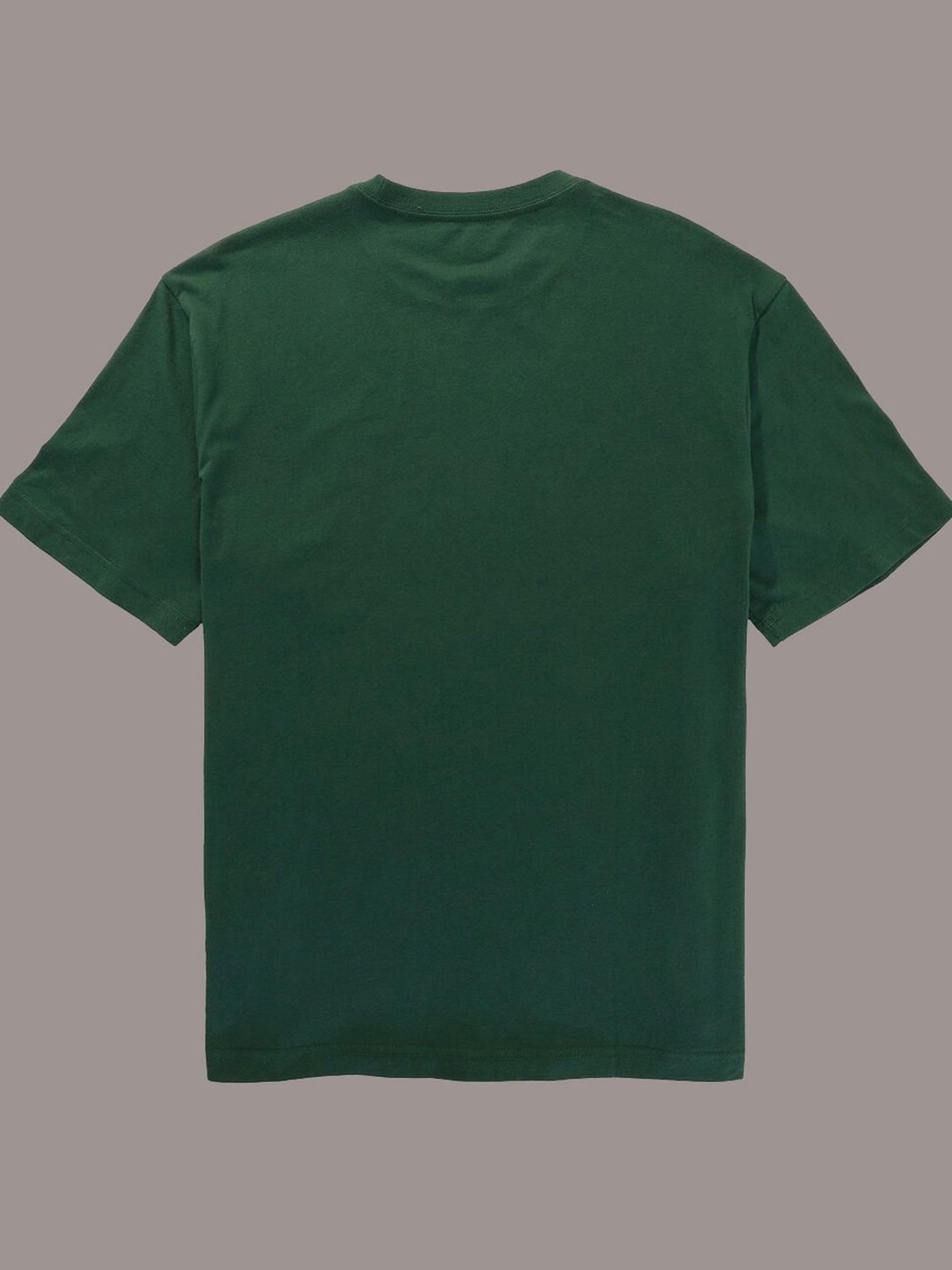 American Eagle Green Regular Fit Printed T-Shirt