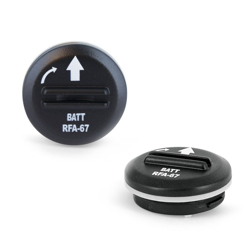 PetSafe 6 Volt Battery - 2pk - Black