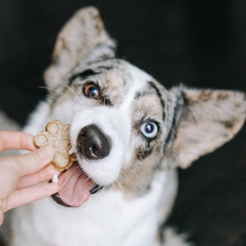 Fruitables Biggies Peanut Butter & Banana Crunchy Dog Treats - 16oz