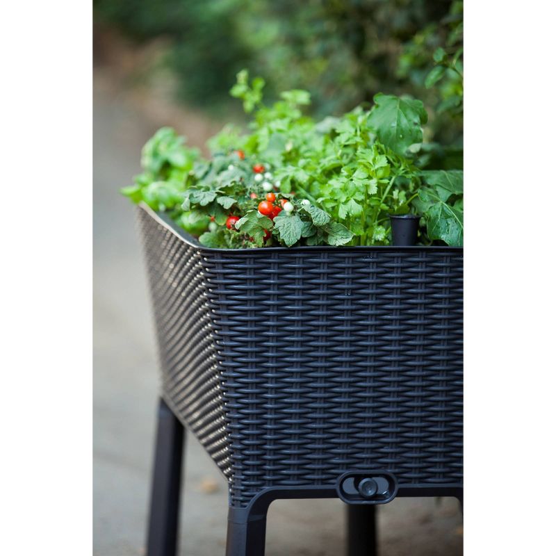 Rectangular Easy Grow Elevated Garden Bed Anthracite - Keter