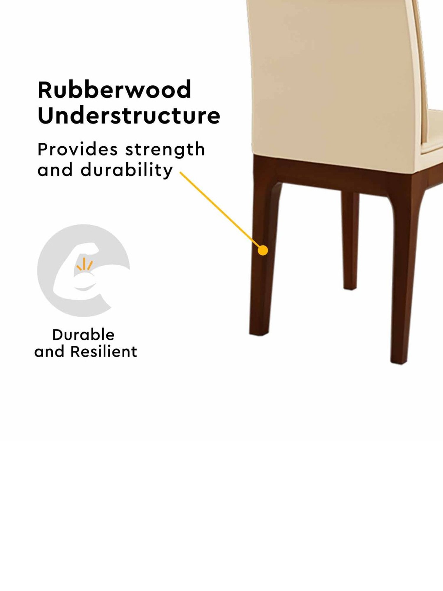 Godrej Interio Terrene Beige Wood Dining Chair (Set of 2)