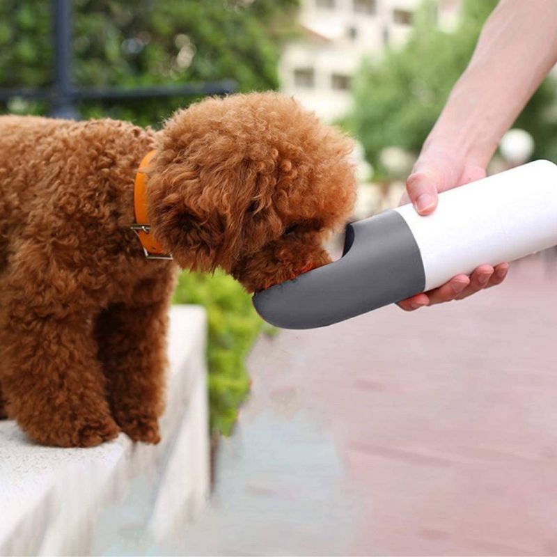 Amici Pet Marble Paw Glass Food Canister, 72oz