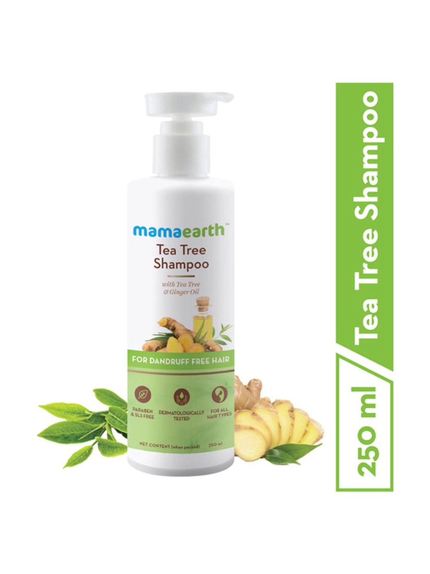 Mamaearth Tea Tree Anti Dandruff Shampoo - 250 ml