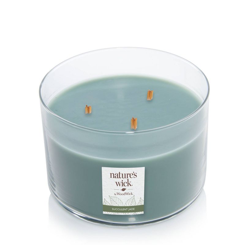 Lidded Glass Jar Crackling Wooden Wick Succulent Jade Candle - Nature's Wick