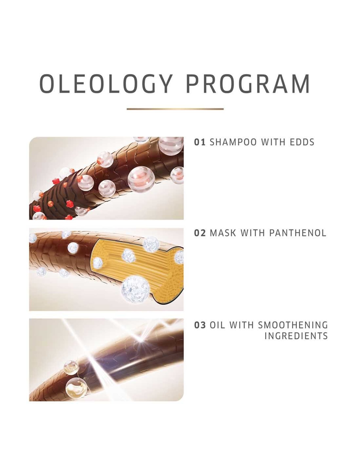 Richfeel Brahmi Intensive Repair Hair Pack - Pack of 4