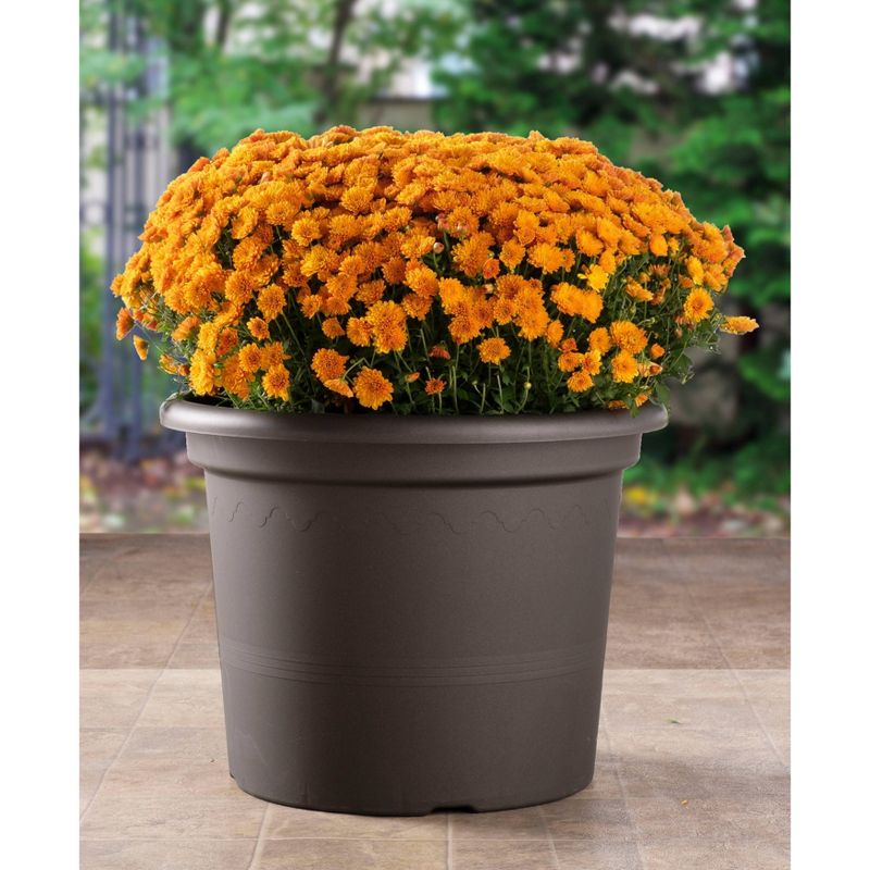 13.25" x 17.5" Indoor/Outdoor Resin Geo Planter Black - Alfresco Home LLC