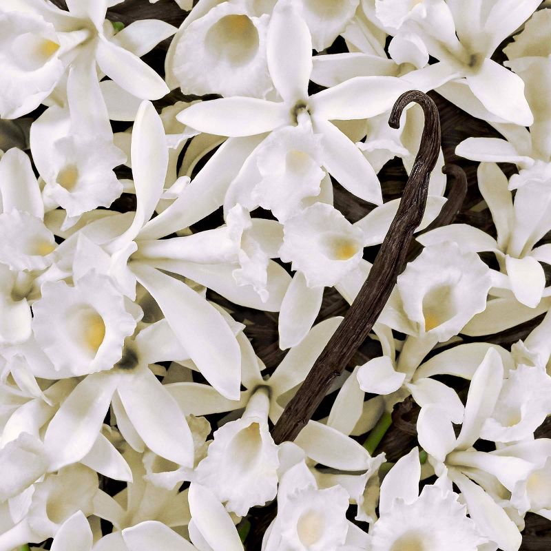 St. Ives Coconut Water & Orchid Plant-Based Natural Body Wash Soap - 22  fl oz