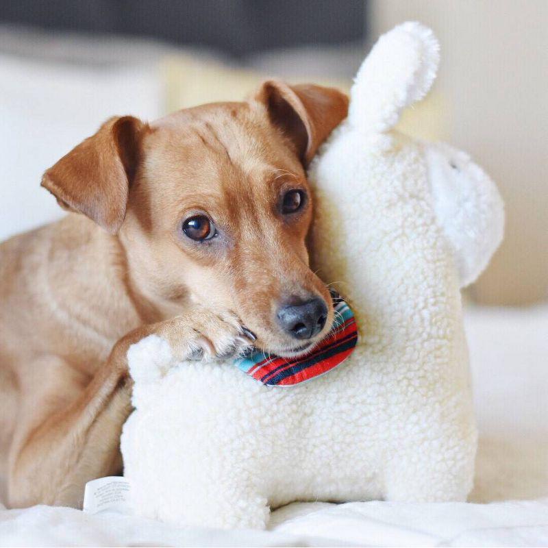 ZippyPaws Storybook Snugglerz Liam the Llama Dog Toy