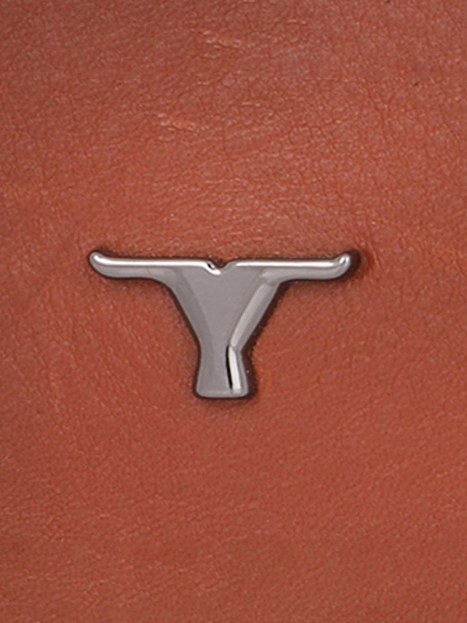 BULCHEE Tan Leather Casual Belt for Men