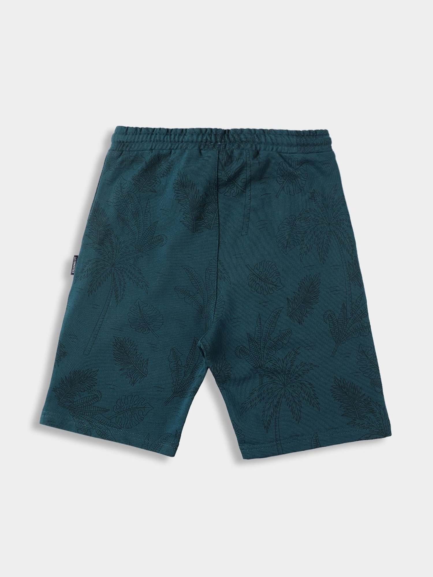 Lil Tomatoes Boys Teal Printed Bermuda