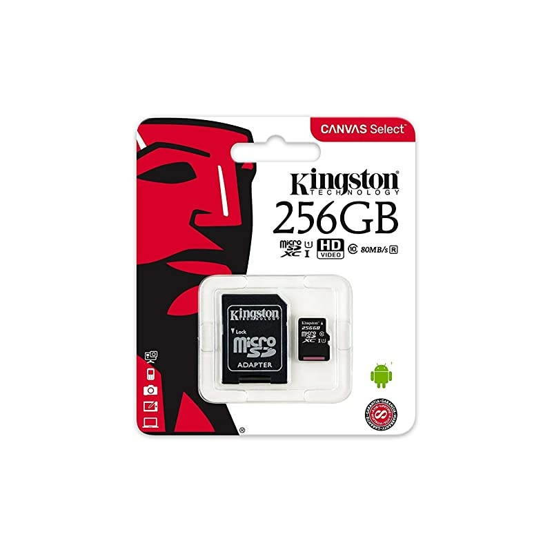 256GB SDXC Micro Canvas Select Memory Card and Adapter Works with Samsung Galaxy A10 A20 A70 Cell Phone SDCS256GB Bundle with 1 Everything But Stromboli MicroSD and SD Card Reader