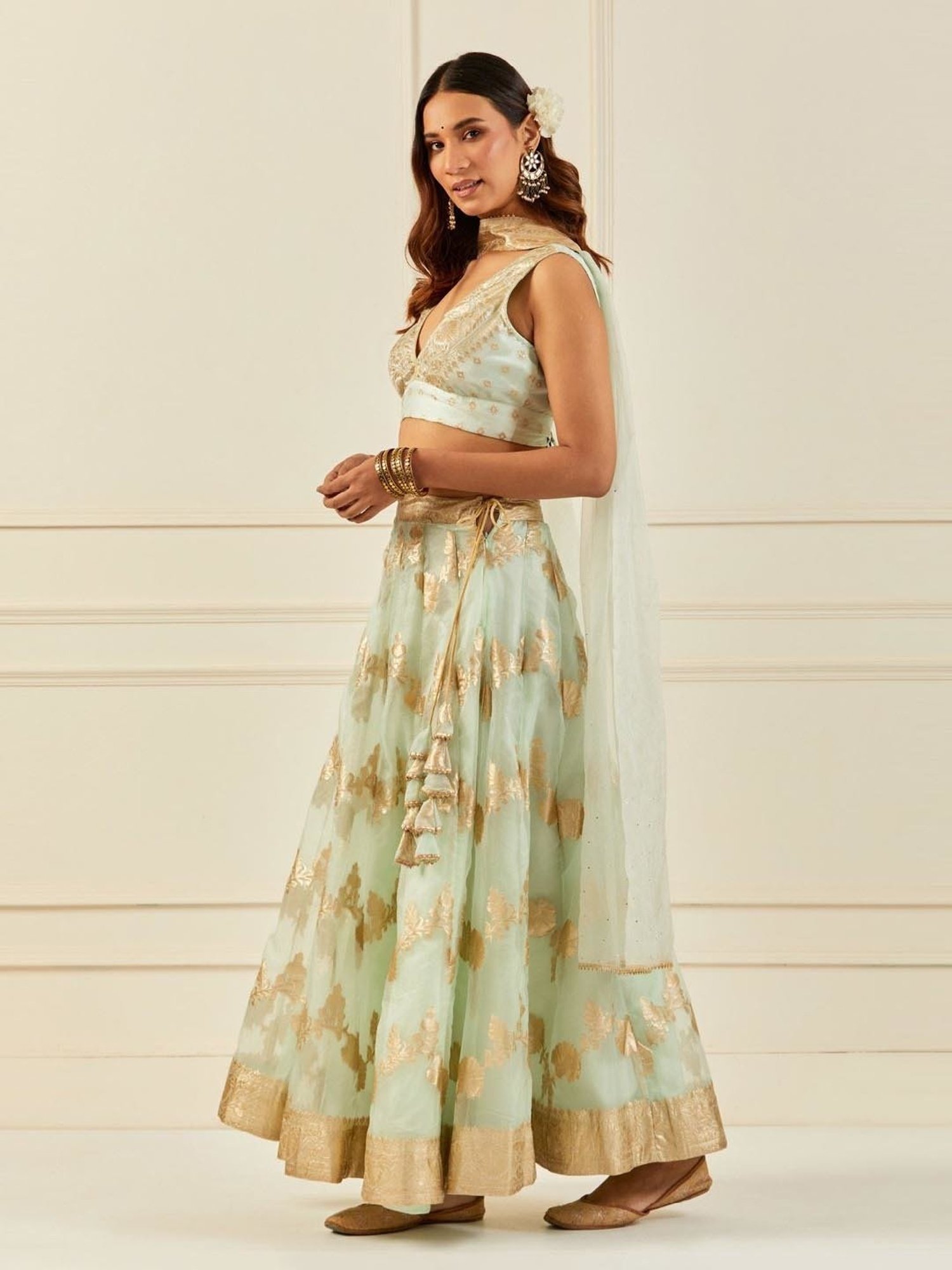 Geroo Jaipur Light Green Organza Banarasi Lehenga Set with Mukaish Dupatta