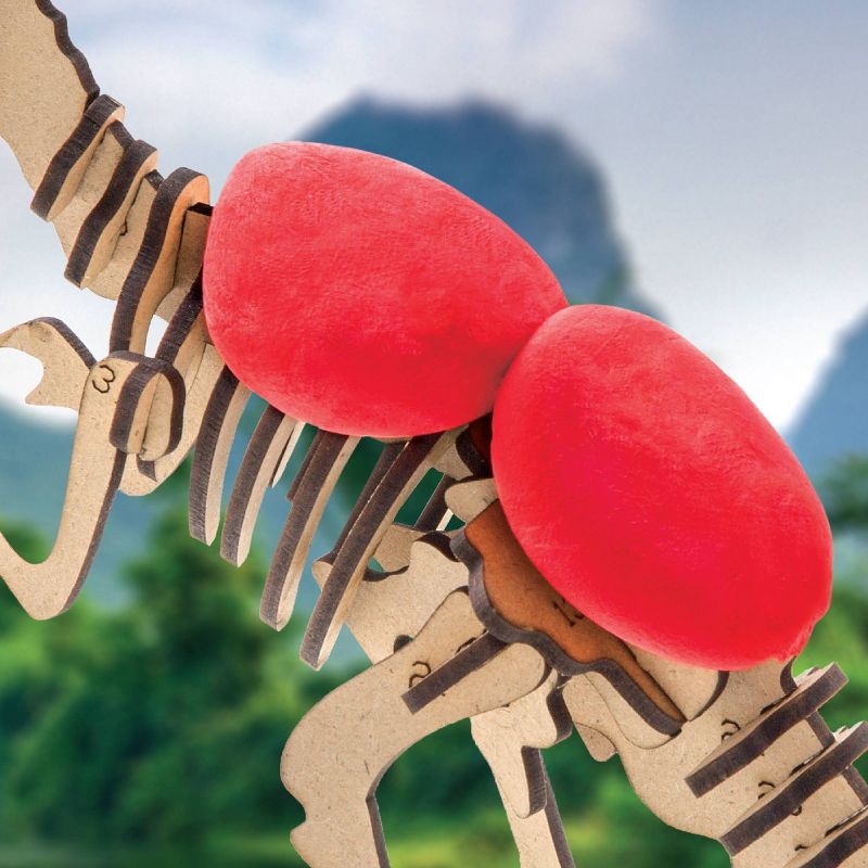 Discovery Kids Toy Dinosaur DIY Puzzle Clay T-Rex