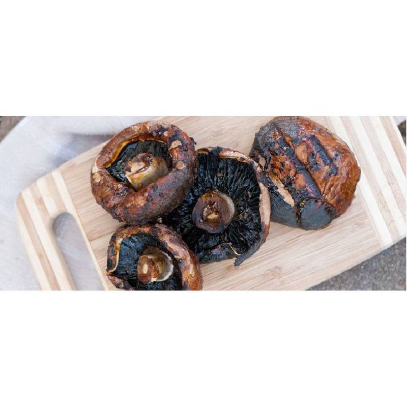 Kikkoman Teriyaki Marinade & Sauce 10oz