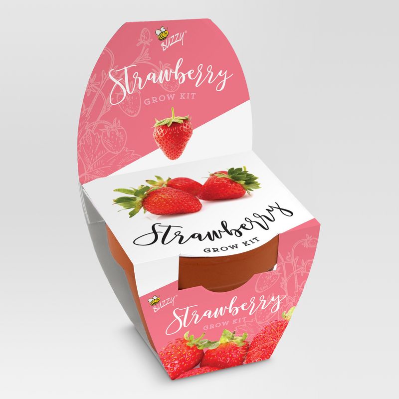 5.5" H Terra Cotta Grow Kit - Strawberry - Buzzy Seeds