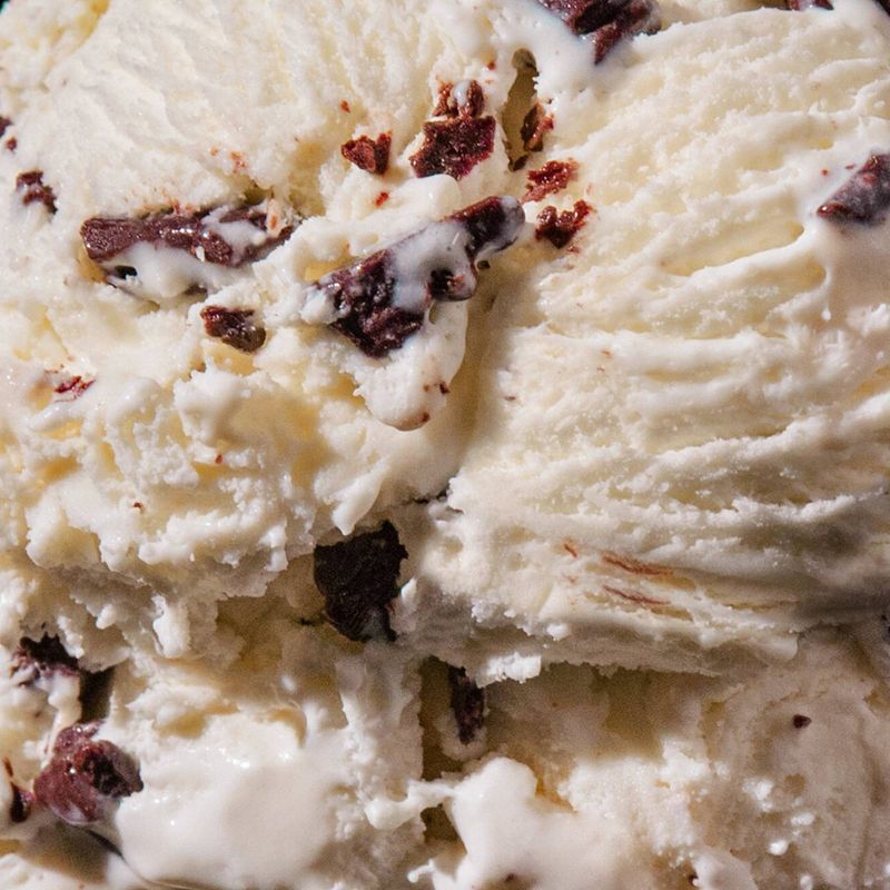 Tillamook Mint Chocolate Chip Ice Cream - 48oz