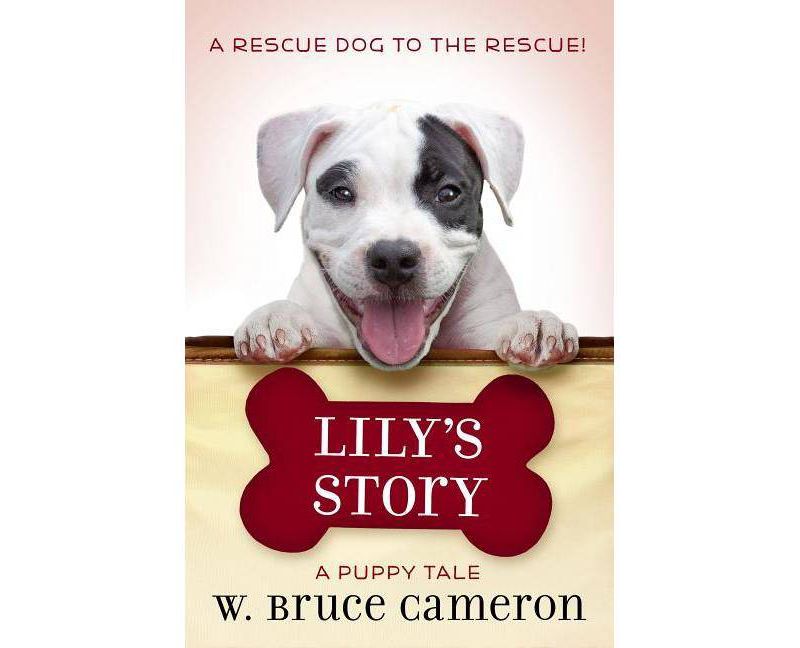 Lily's Story - by  W Bruce Cameron (Hardcover)