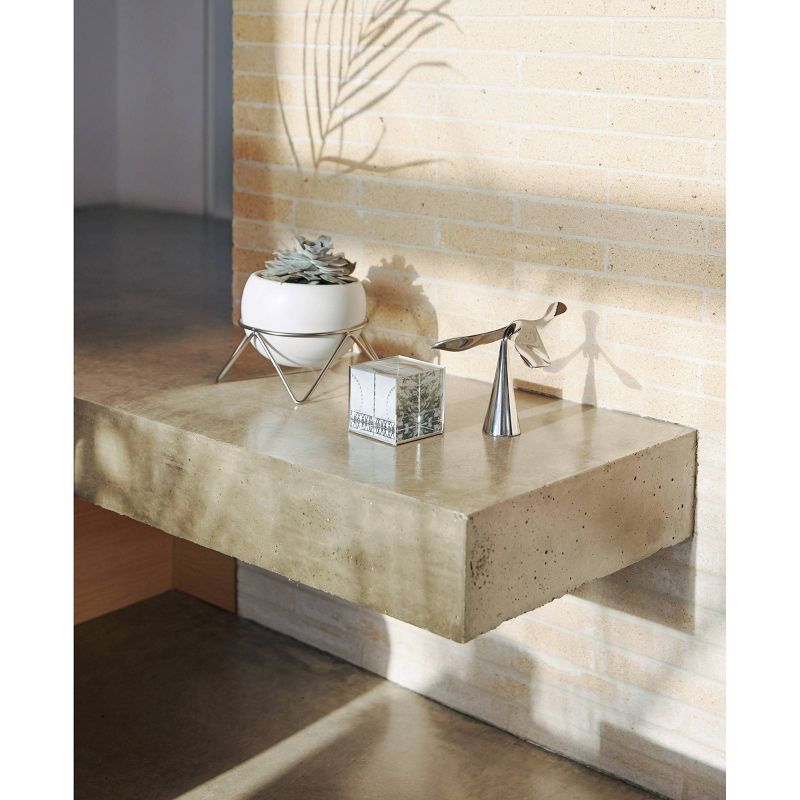 Northlight 28.75" Black Dual-Sized "Friends" Collage Photo Picture Frame Wall Decoration