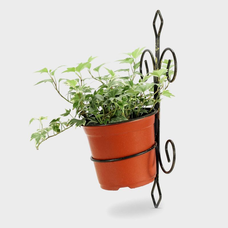 Iron Single Pot Novelty Wall Planter With Distressed Detail Black/Gold - Ore International