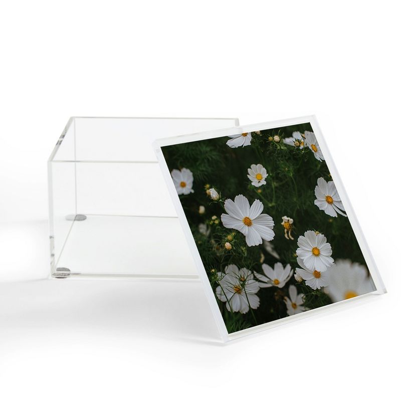 Hello Twiggs White Cosmos 4" x 4" Acrylic Box - Deny Designs