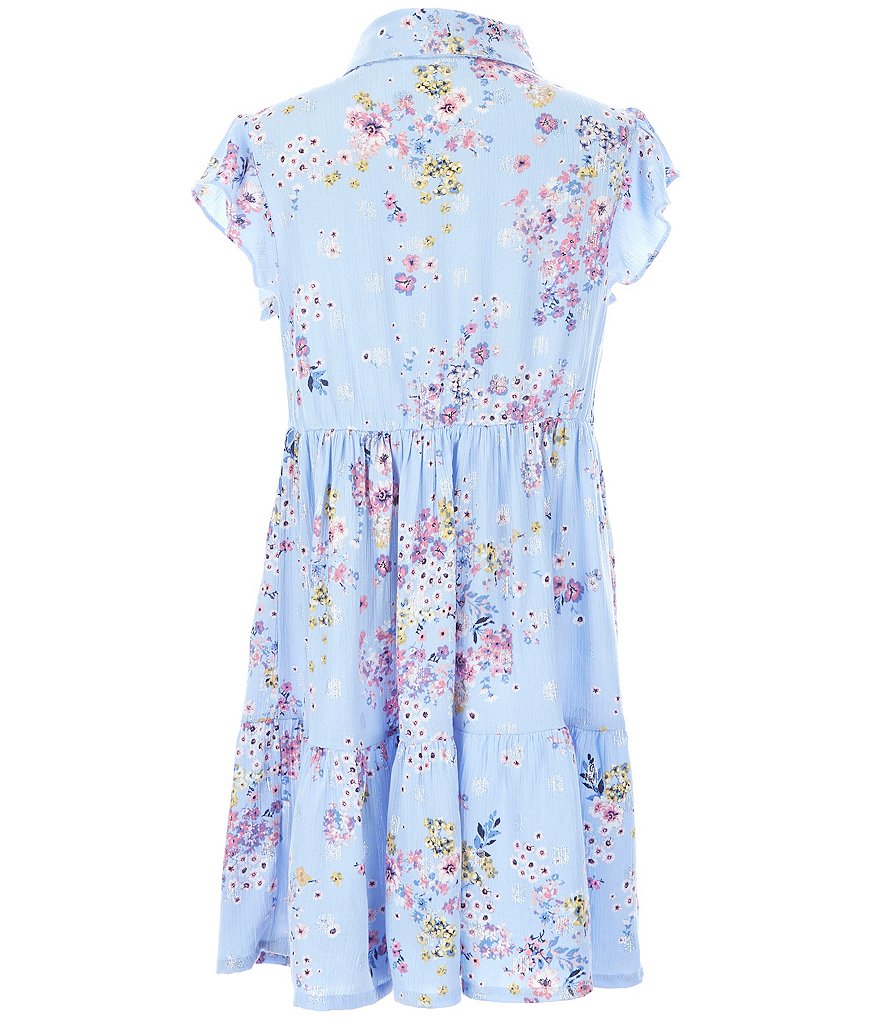 Polo Ralph Lauren Big Girls 7-16 Ombre Large Pony T-Shirt Dress