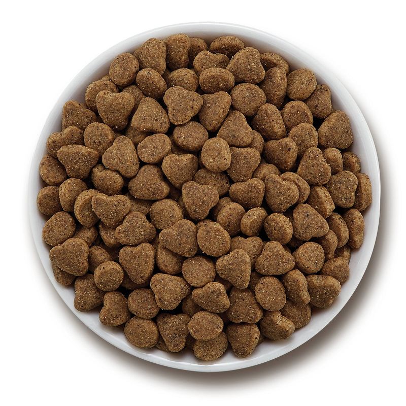 Purina Beyond Simply Salmon & Whole Brown Rice Recipe Adult Premium Dry Cat Food - 6lbs