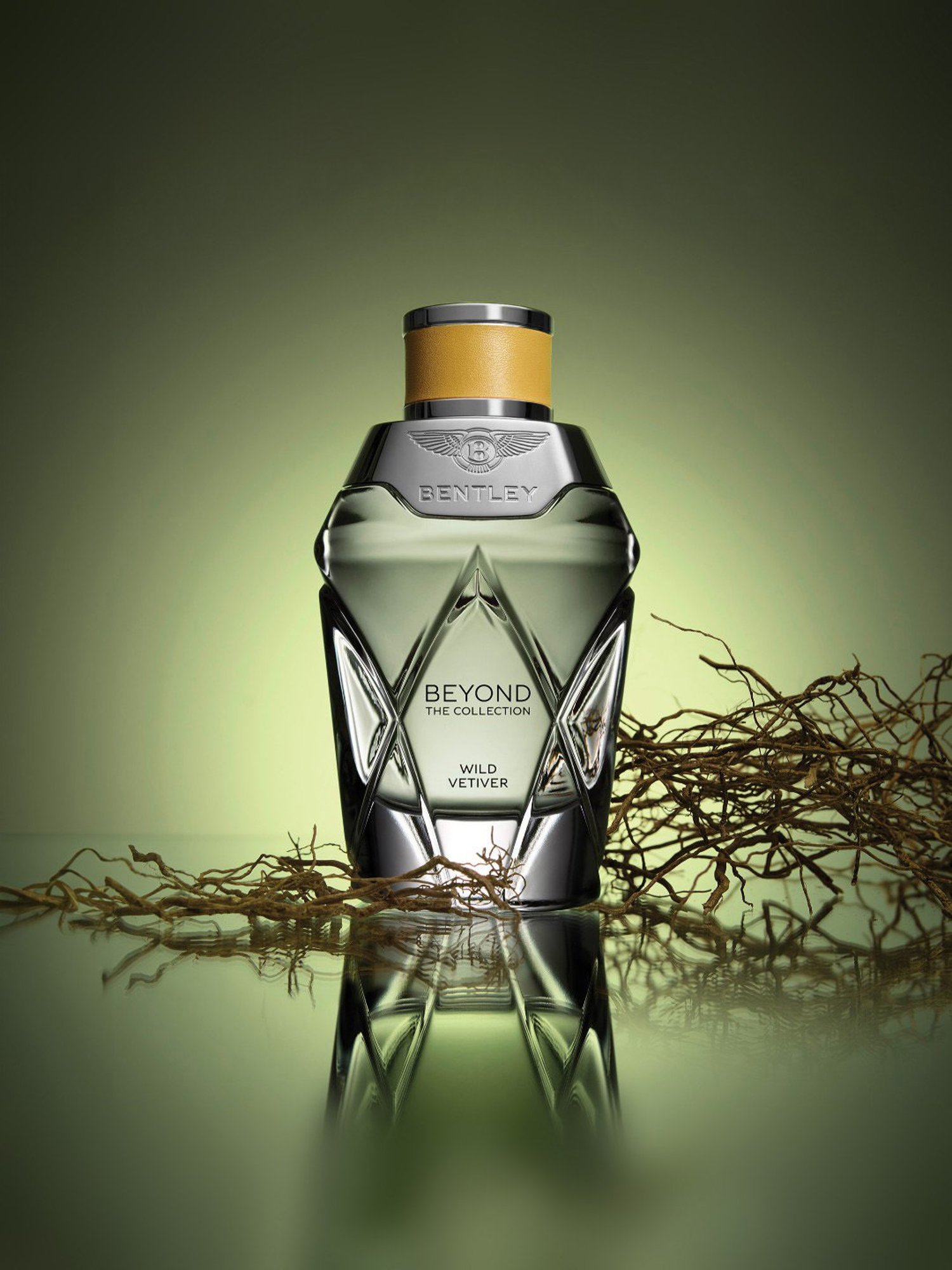 Bentley Beyond The Collection Wild Vetiver Eau de Parfum - 100 ml