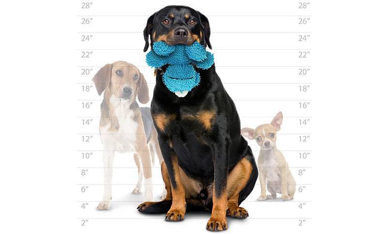 Tuffy Mighty Microfiber Ball Monster Dog Toy - M