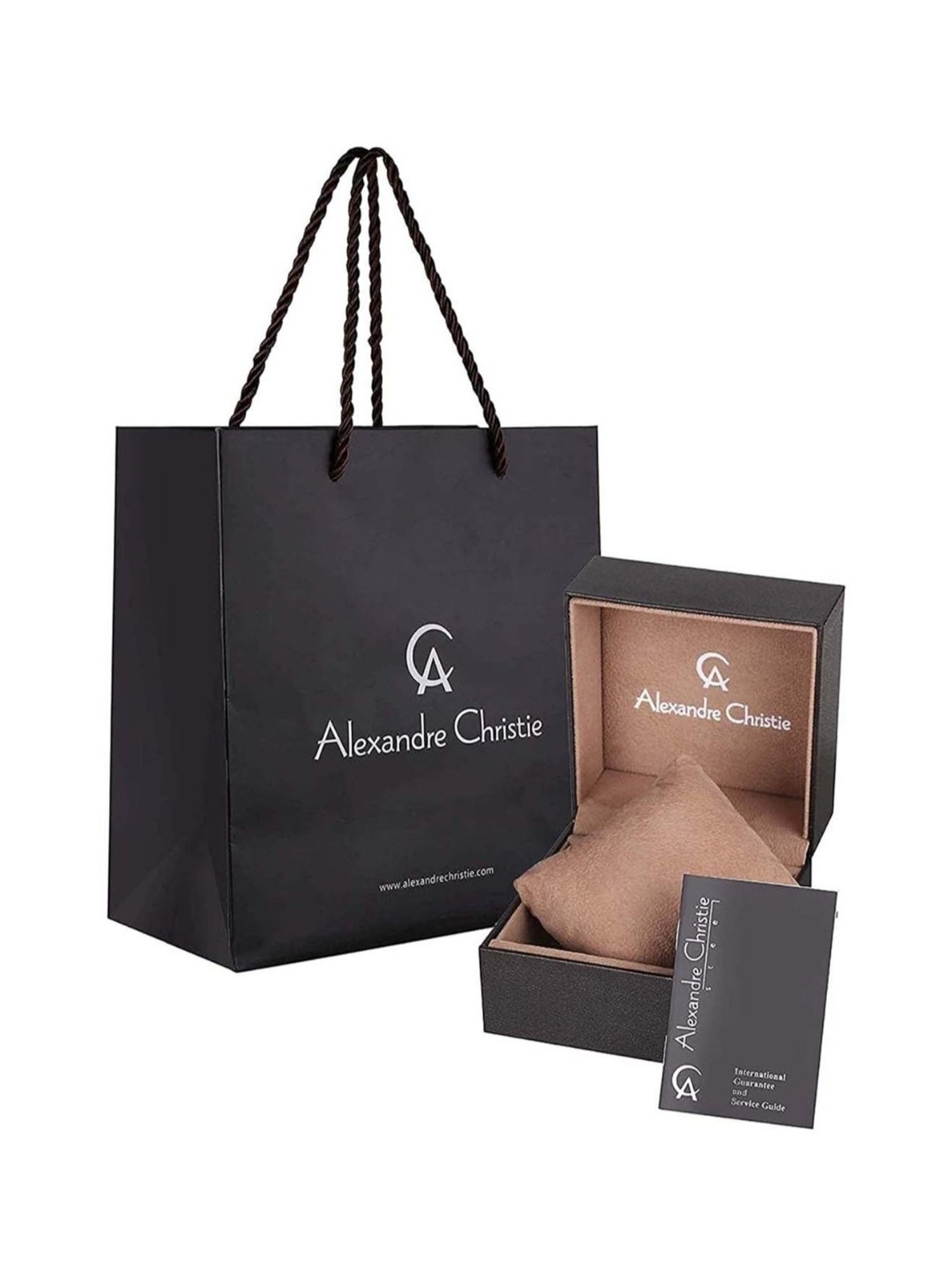 ALEXANDRE CHRISTIE 5001LHRBRBABU Analog Watch for Women