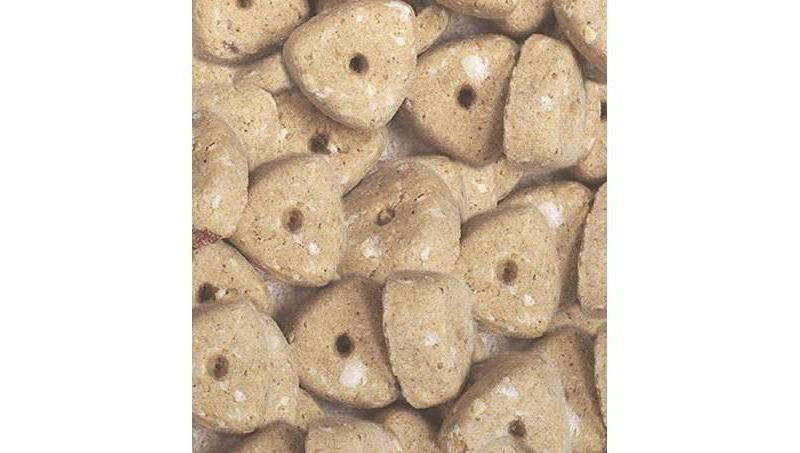 Nutro Crunchy Mixed Berry Dog Treats - 10oz