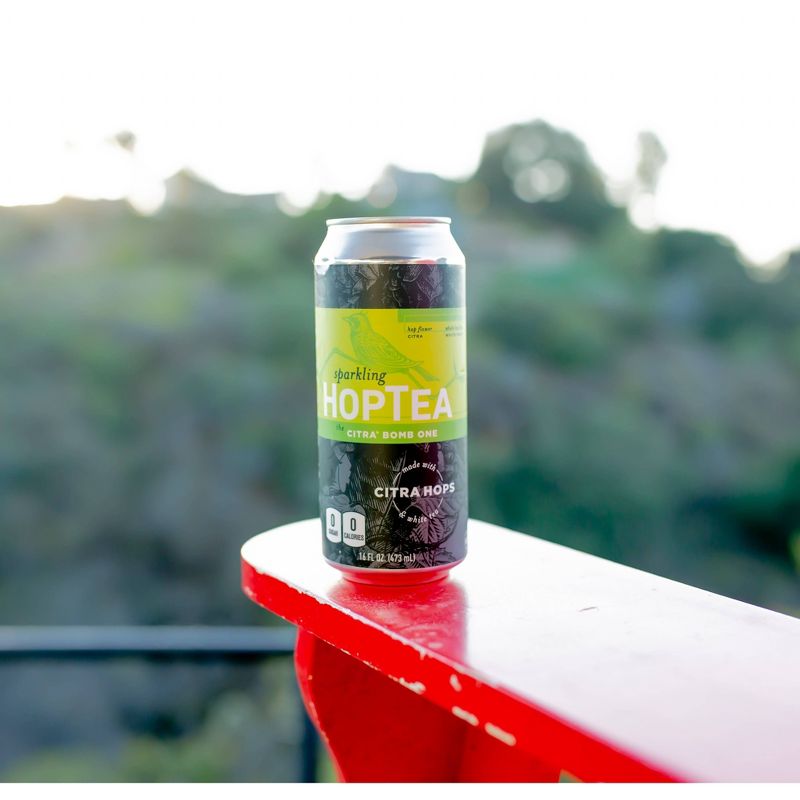 Hoplark The Citra Bomb One Sparkling HopTea - 16 fl oz