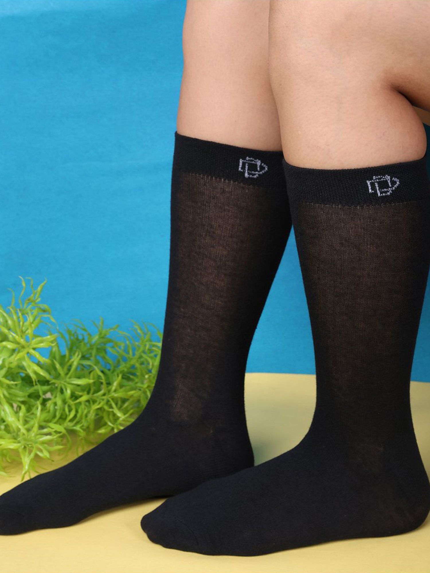Dollar Socks For Women's Casual Full Length In (Pack of 3)