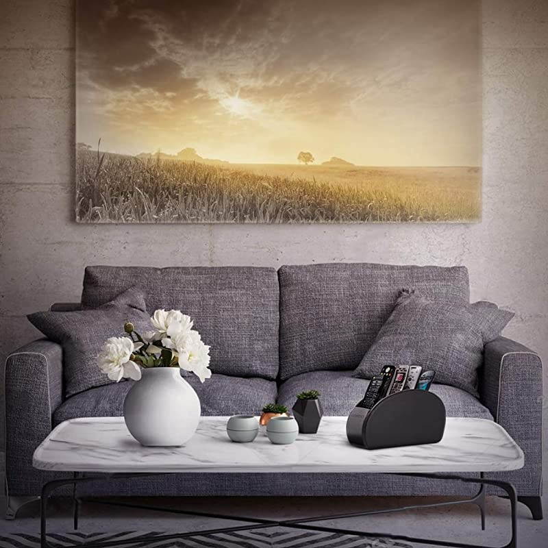 Remote Control Holder with 5 Pockets - Store DVD, Blu-Ray, TV, Roku or Apple TV Remotes - PU Leather with Suede Lining - Slim, Compact Living or Bedroom Storage