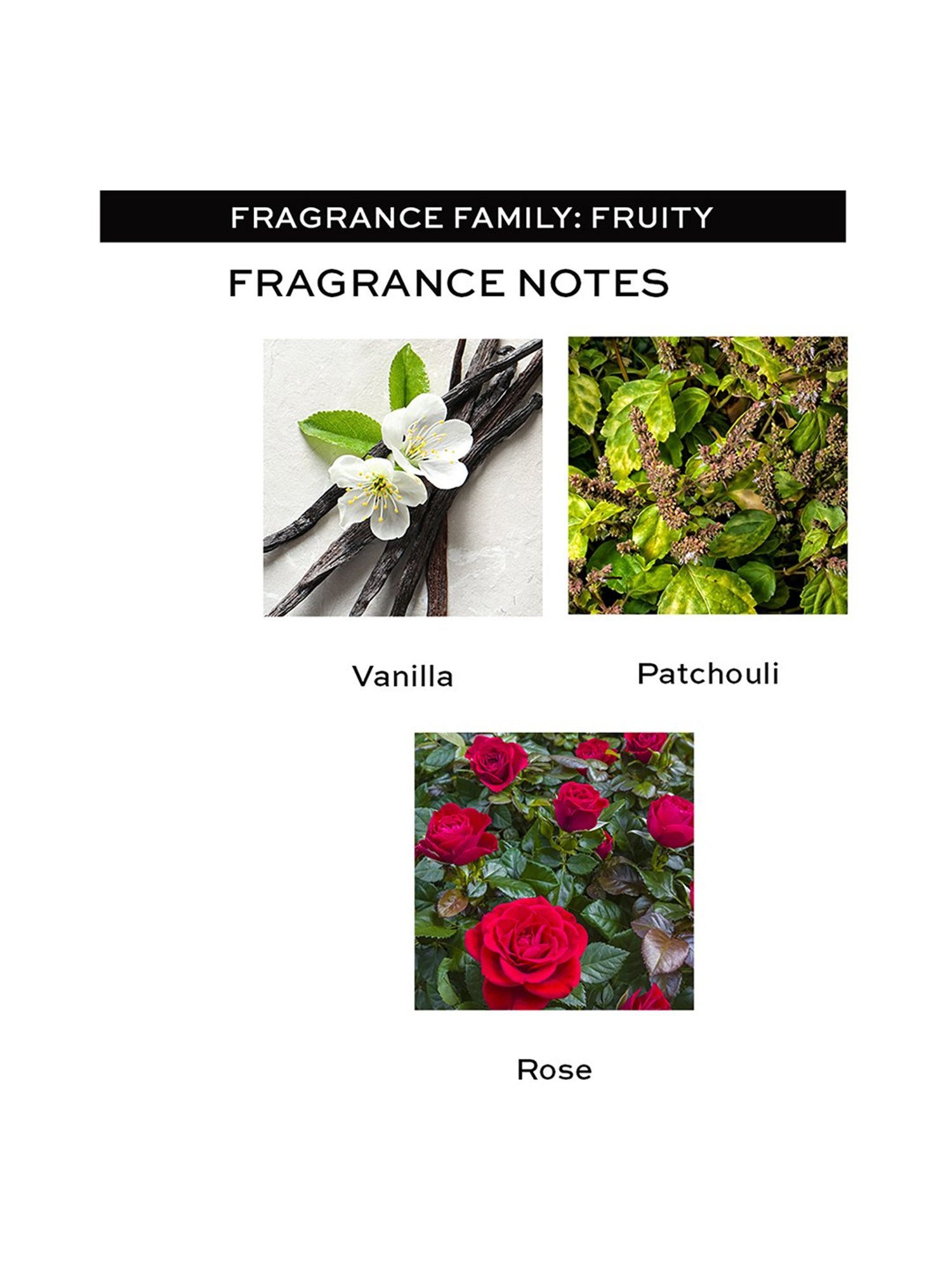 Revolution Timeless EDT - 100 ml