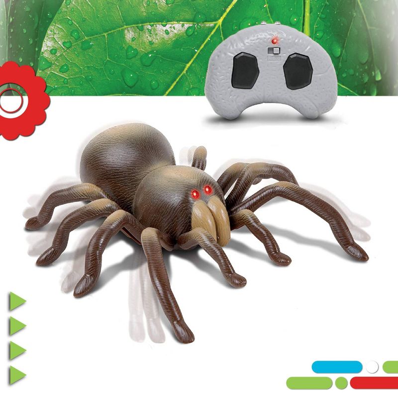 Discovery Kids Remote Control Tarantula