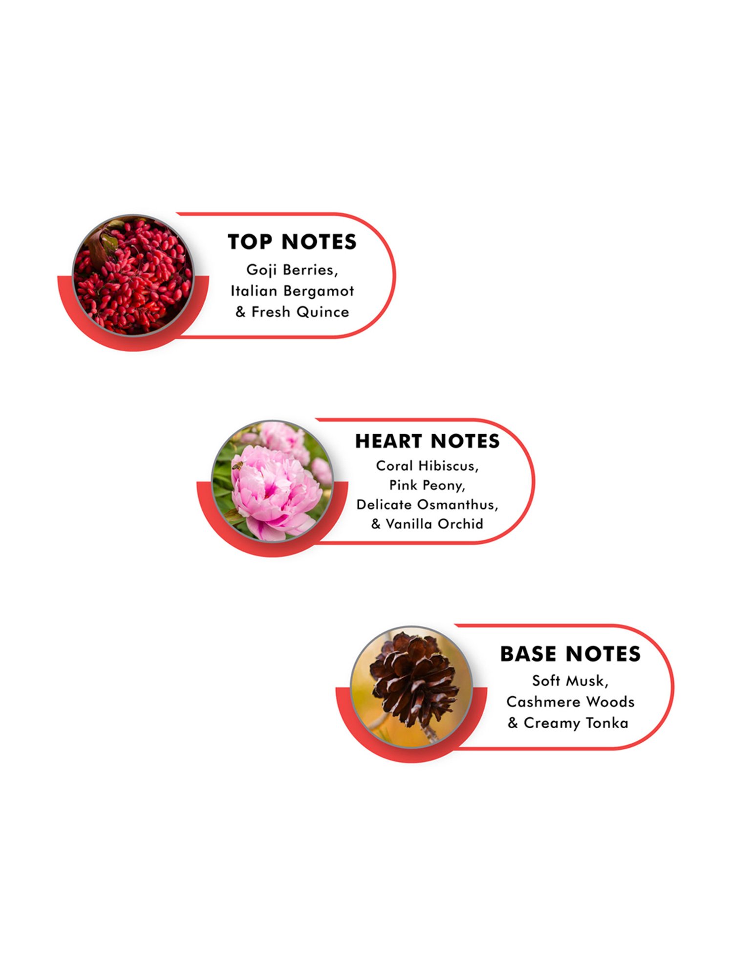 Hollister Festival Vibes Eau de Parfum for Her - 100 ml