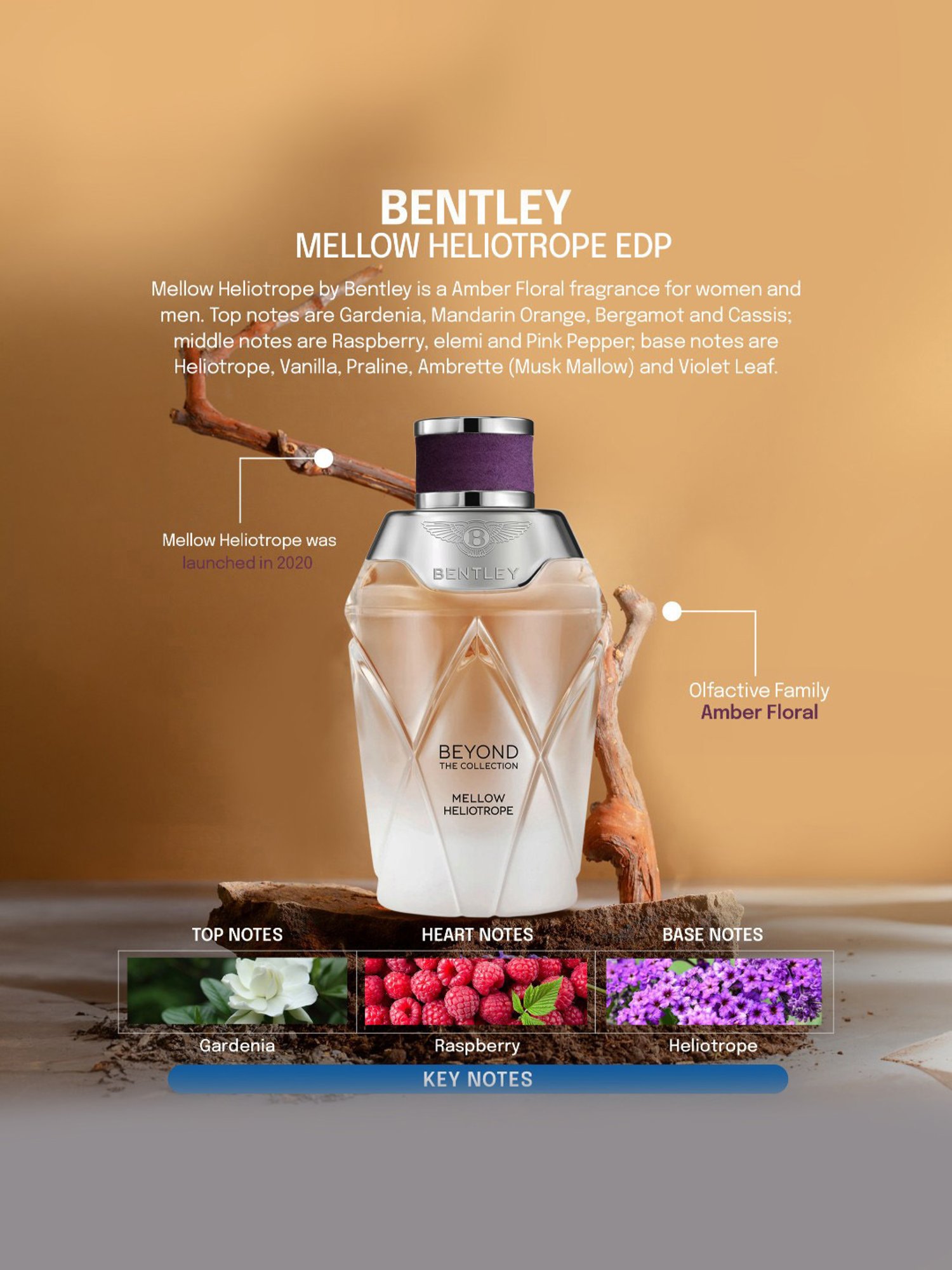 Bentley Beyond The Collection Mellow Heliotrope Eau de Parfum for Women - 100 ml