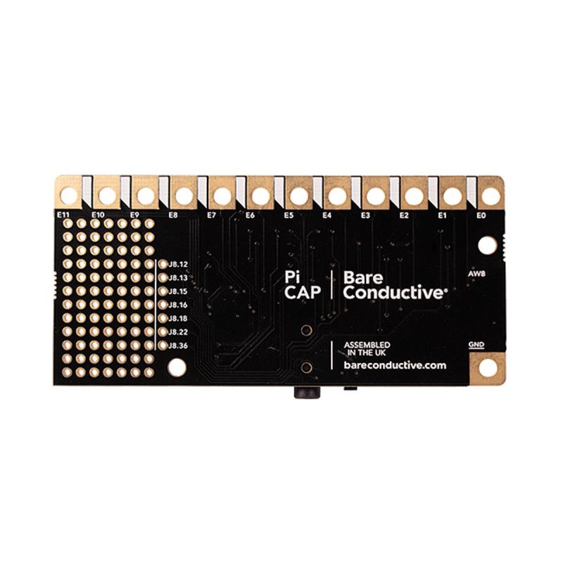 Bare Conductive Pi Cap