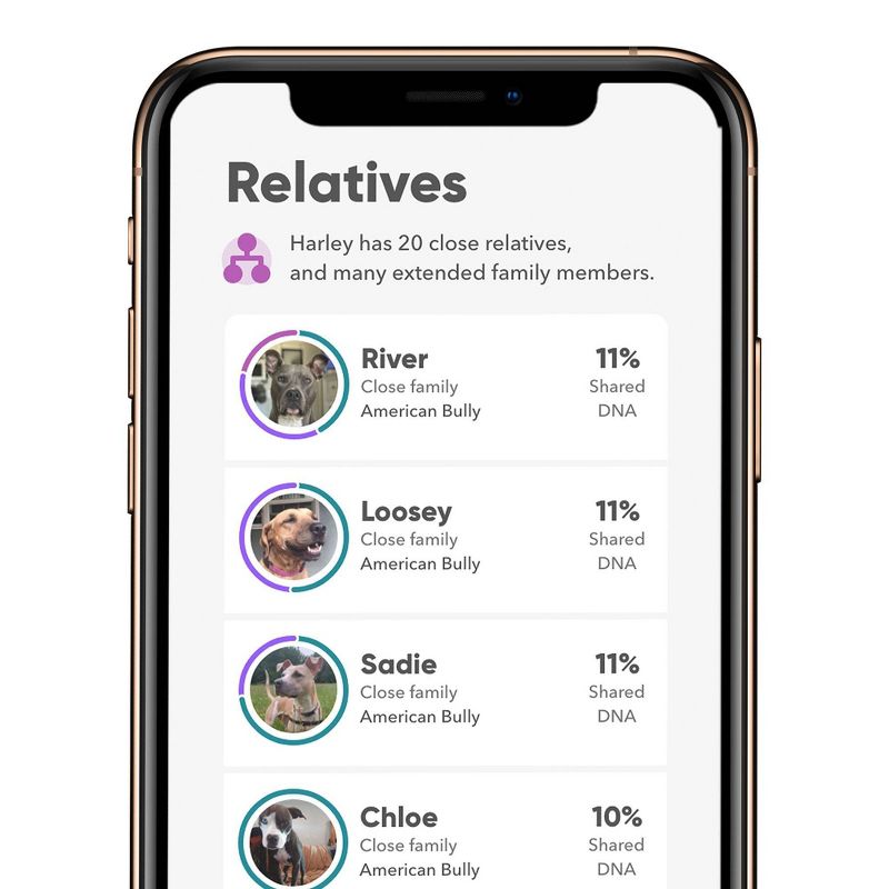 Embark Vet Breed Identification Dog DNA Kit